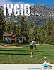Summer edition cover