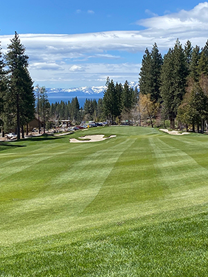fairway at championship golf course