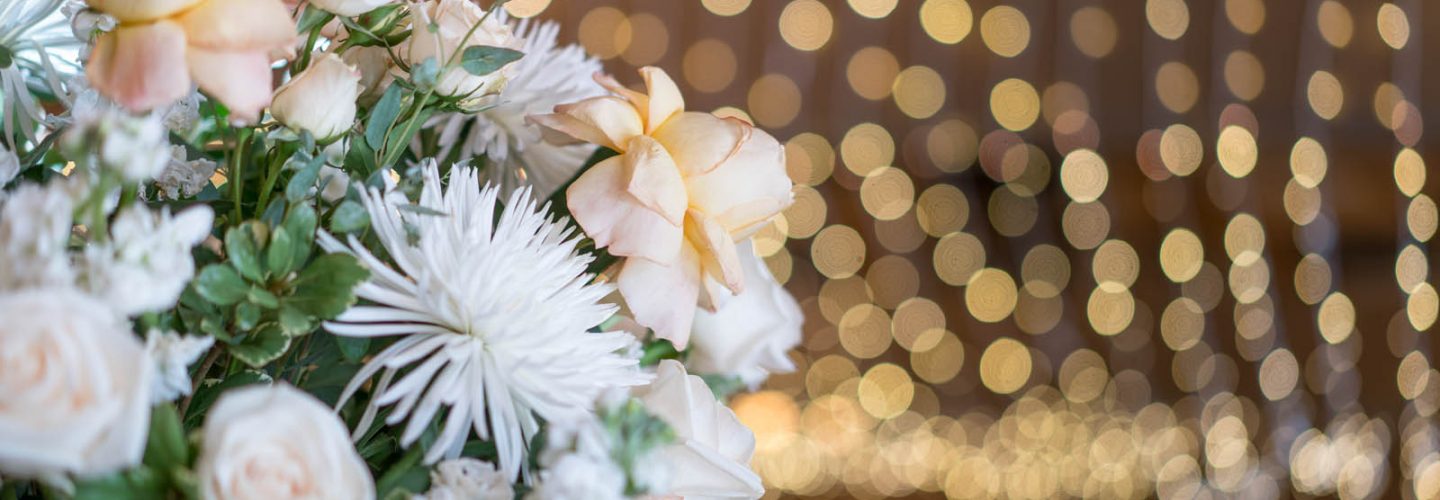 flowers with lights in background
