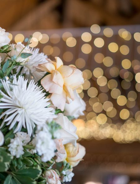 flowers with lights in background