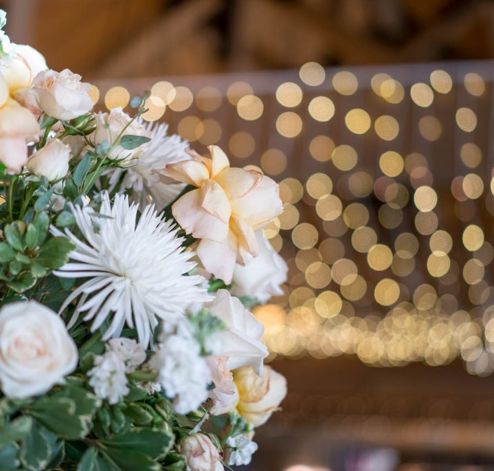 flowers with lights in background