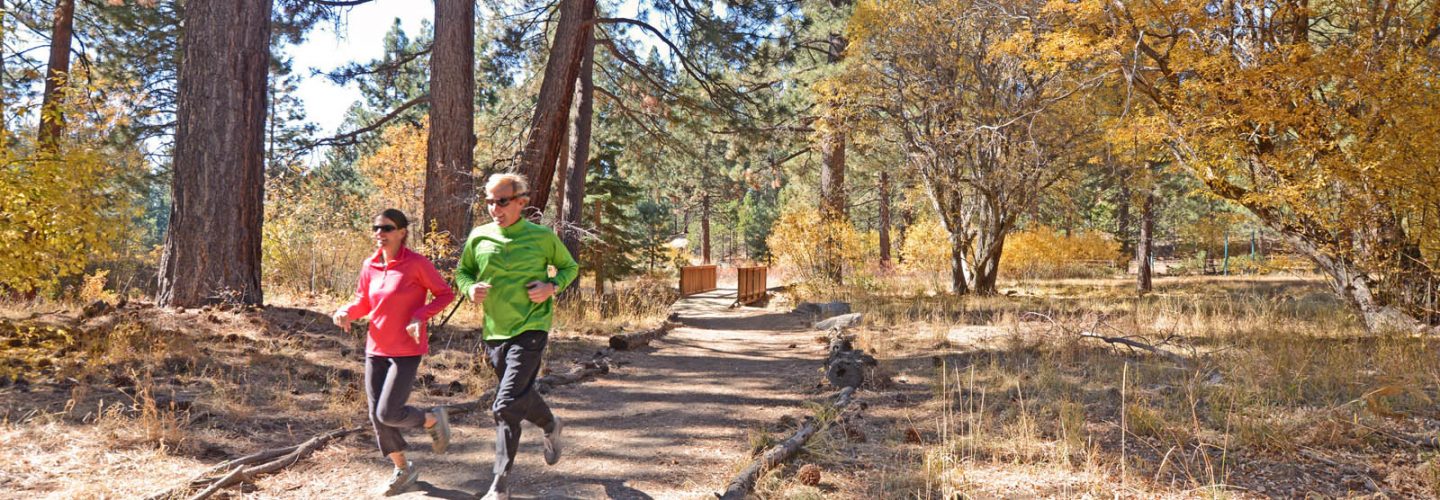 couple running on fitness trail