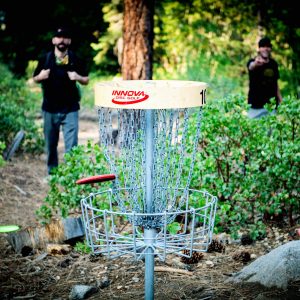 disc golf putting