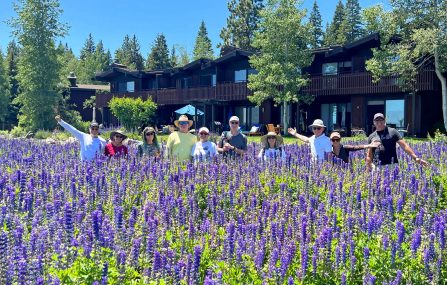 seniors walking through lupines