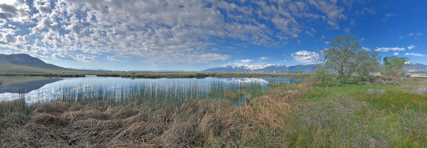 wetlands hunting area panorama