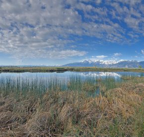 wetlands hunting area panorama