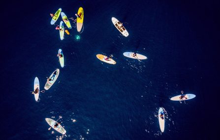 paddle board camp ariel
