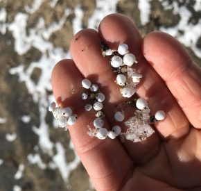 hand holding styrofoam on beach
