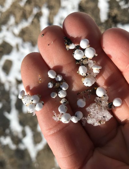 hand holding styrofoam on beach