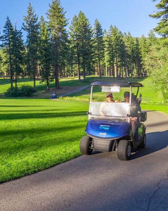 mountain course carts