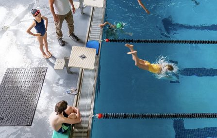 swim team diving