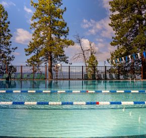 pool with trees and tahoe