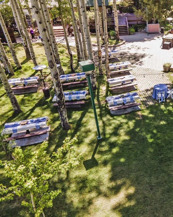 Aspen Grove picnic tables in aspen trees