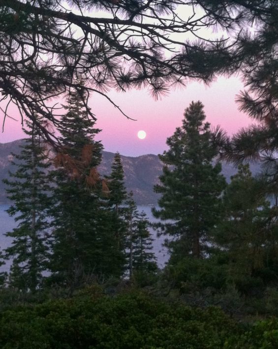 full moon crystal bay through trees