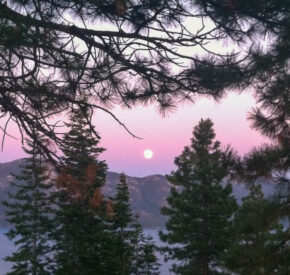 full moon crystal bay through trees