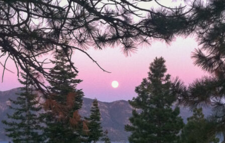 full moon crystal bay through trees