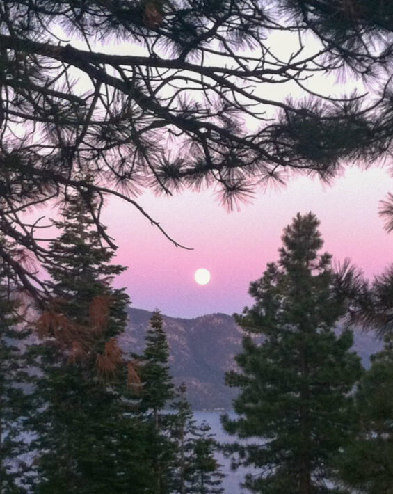 full moon crystal bay through trees