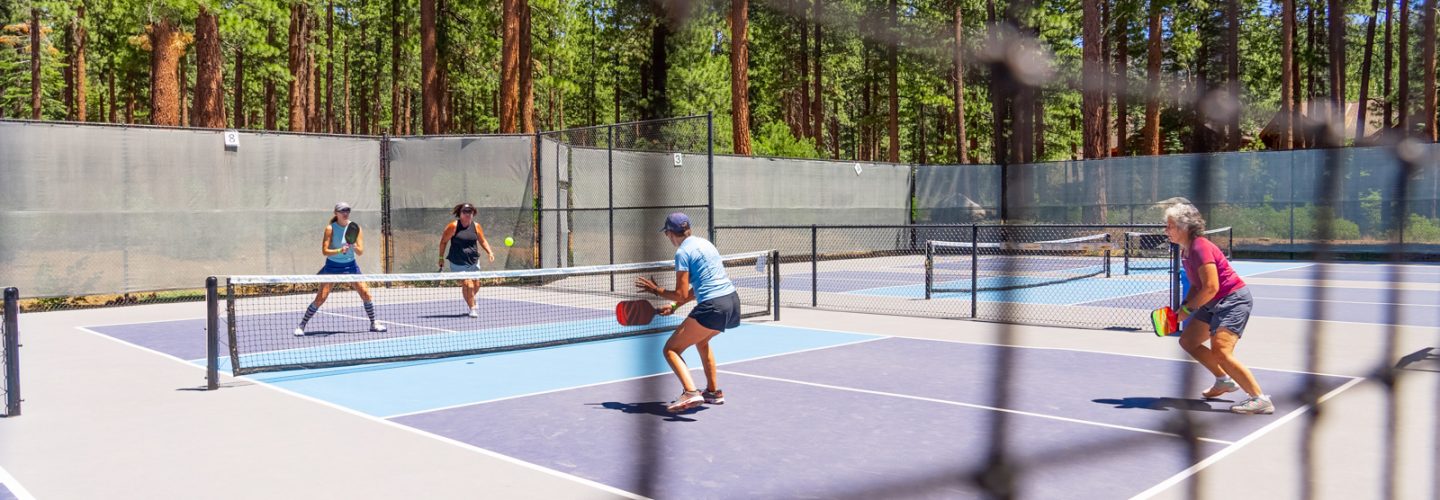 pickleball match through net