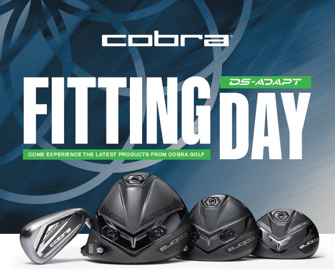 cobra fitting graphic