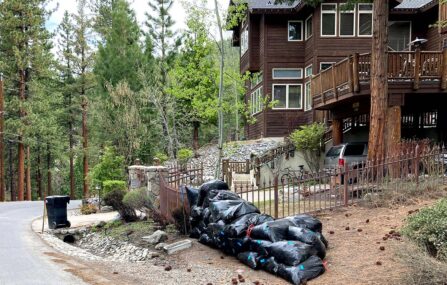 Curbside Yard Waste Bags with stickers