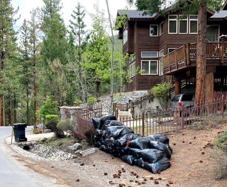 Curbside Yard Waste Bags with stickers