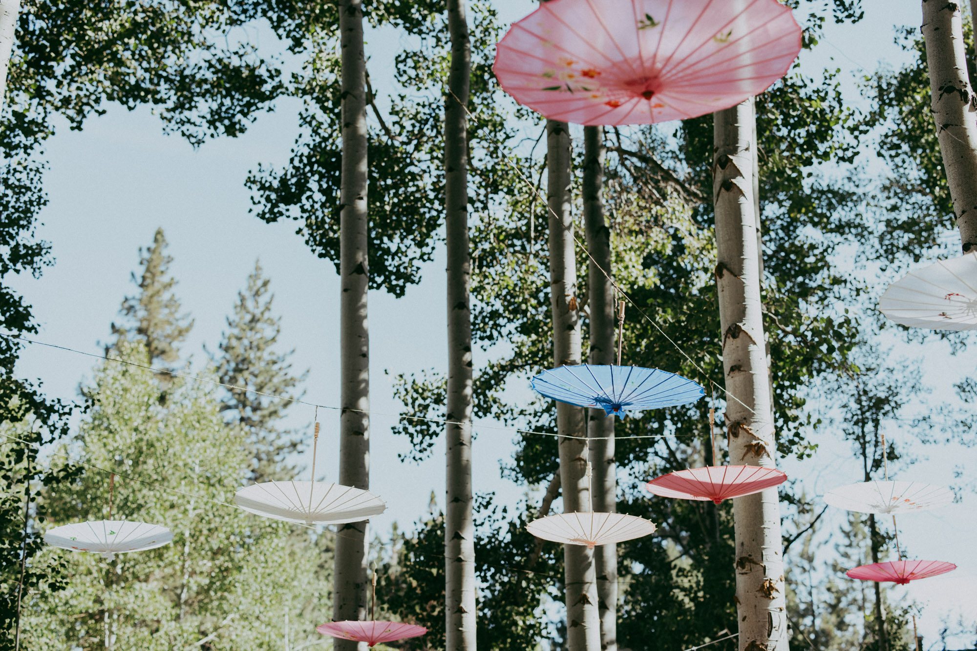 Aspen Grove reception decor