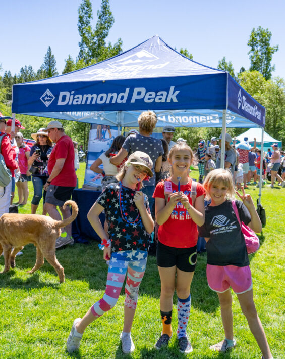 community fair on village green