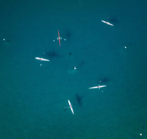a bird's eye view of four individuals in rowing shells on the water