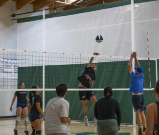 adult volleyball action
