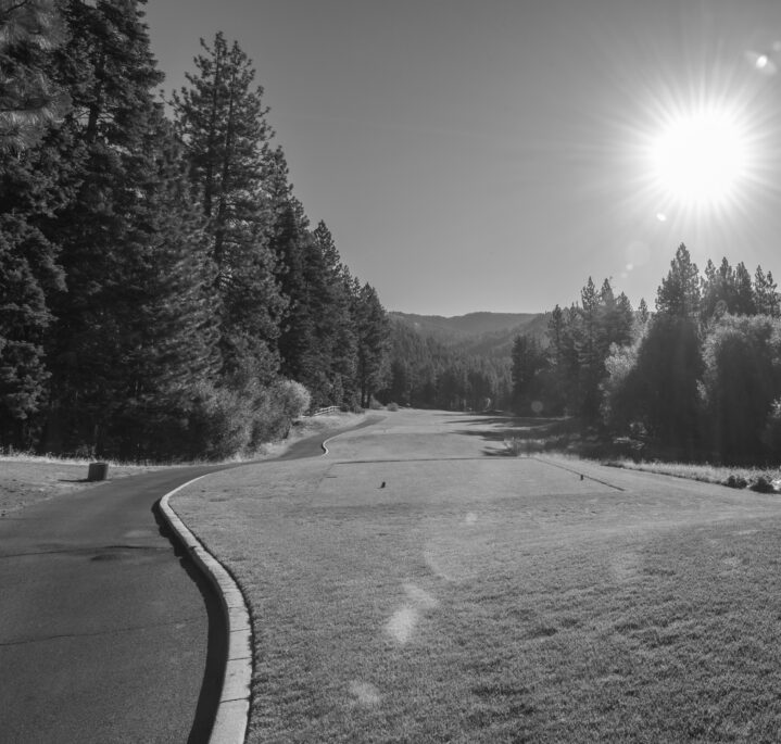 Championship course hole 13 tee grayscale