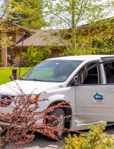handicap van