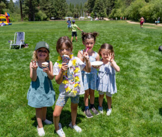community fair ice cream